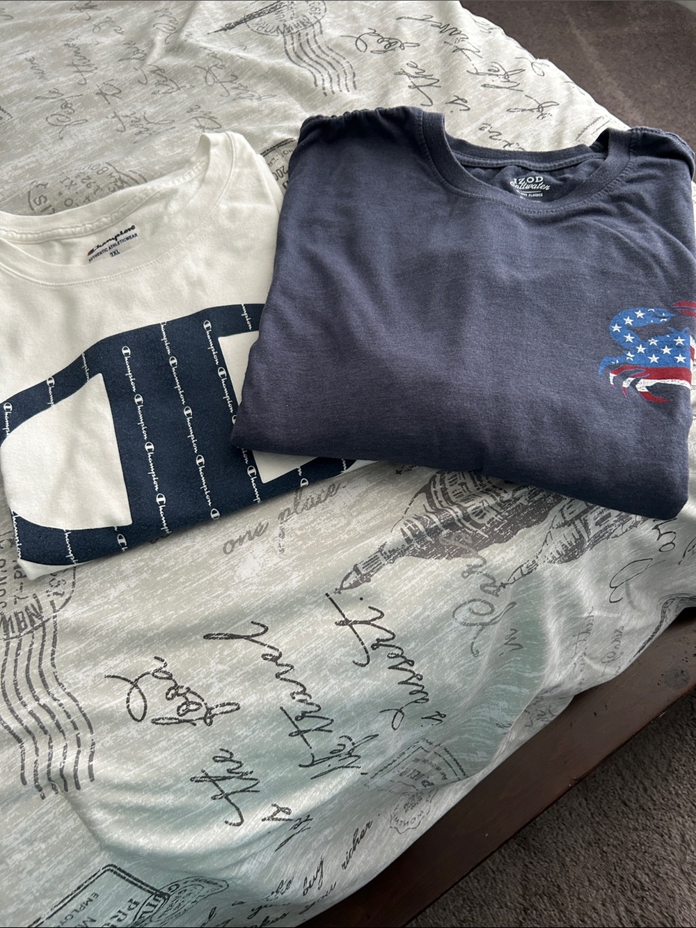 Champion Men’s White and Navy Graphic Short Sleeve Tees